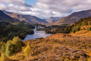 A photo of the Dundreggan conservation estate in Scotland