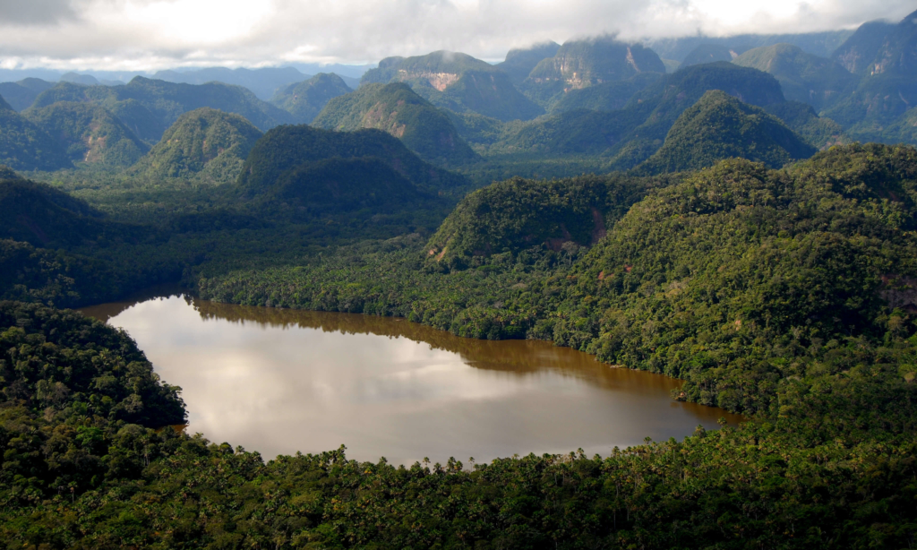 A photo of a lagoon in the Peruvian rainforest