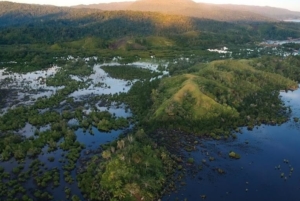 A photo of the Malagasy mangrove forests at Ankarafantsika National Park in Madagascar